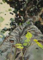 Under Boddhi Tree III