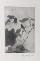 Leaves and Flower