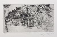 Tree and House in the Kibbutz