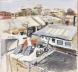 View on Roofs 