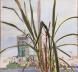 Lemon Grass in Studio