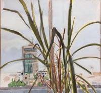 Lemon Grass in Studio