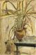 Planter with Lemongrass