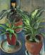 Three Flowerpots
