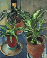 Three Flowerpots