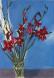  Gladiolas with Blue Background