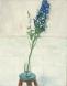 Blue Flowering 
