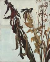 Dry Flowers II