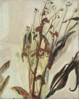 Dry flowers