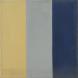  Yellow Grey  Blue