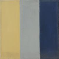  Yellow Grey  Blue