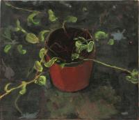 Garden Roquette 