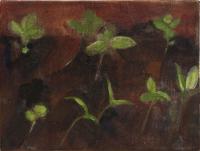 Gardenbed II