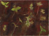 Garden-bed III