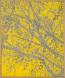Gray and Yellow 