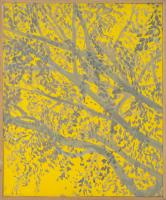 Gray and Yellow 