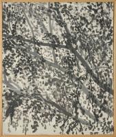 Black and Grey 