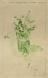 Green Leaves In Glass