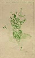 Green Leaves In Glass